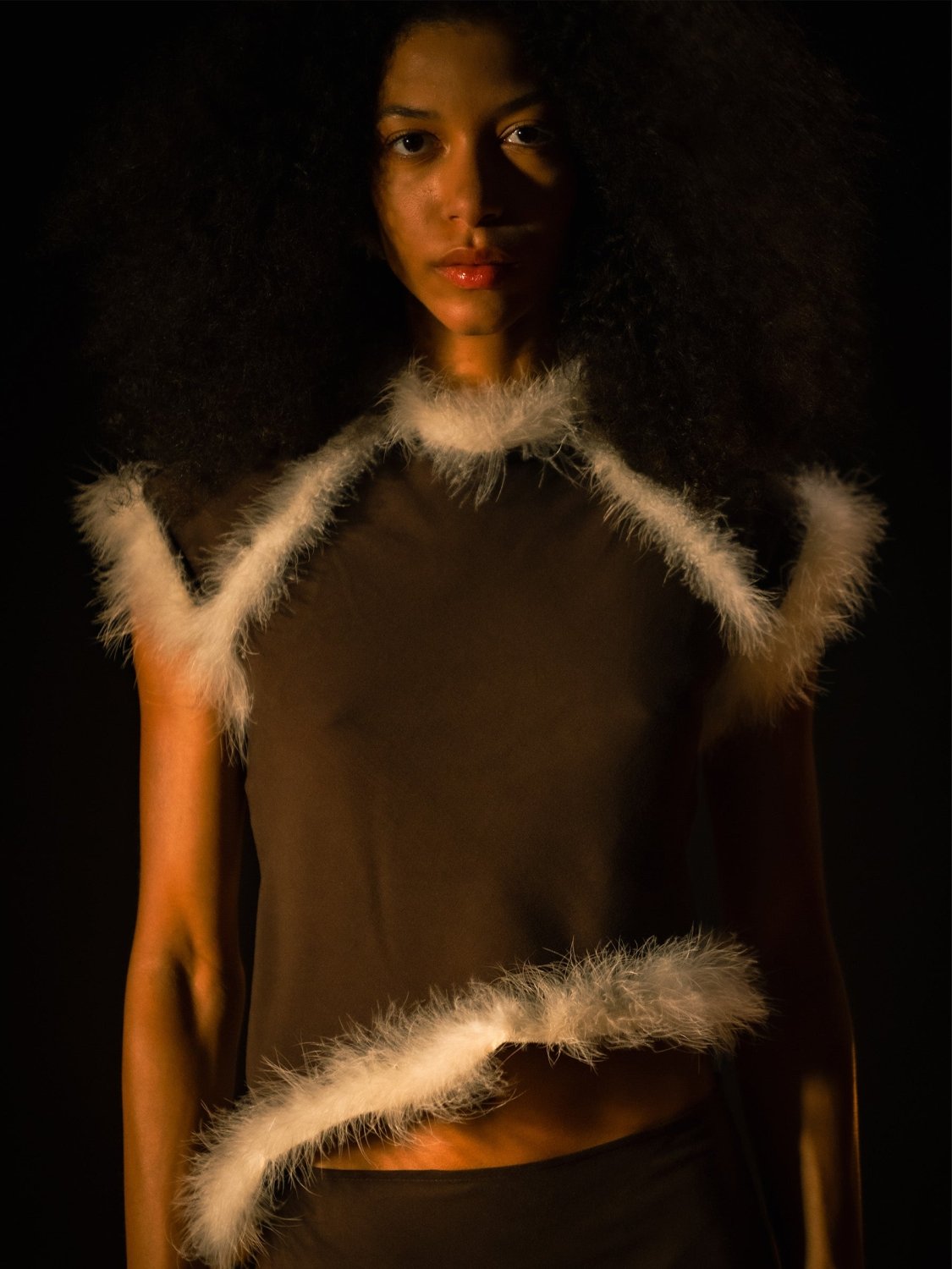 Brown Balance Feather Top